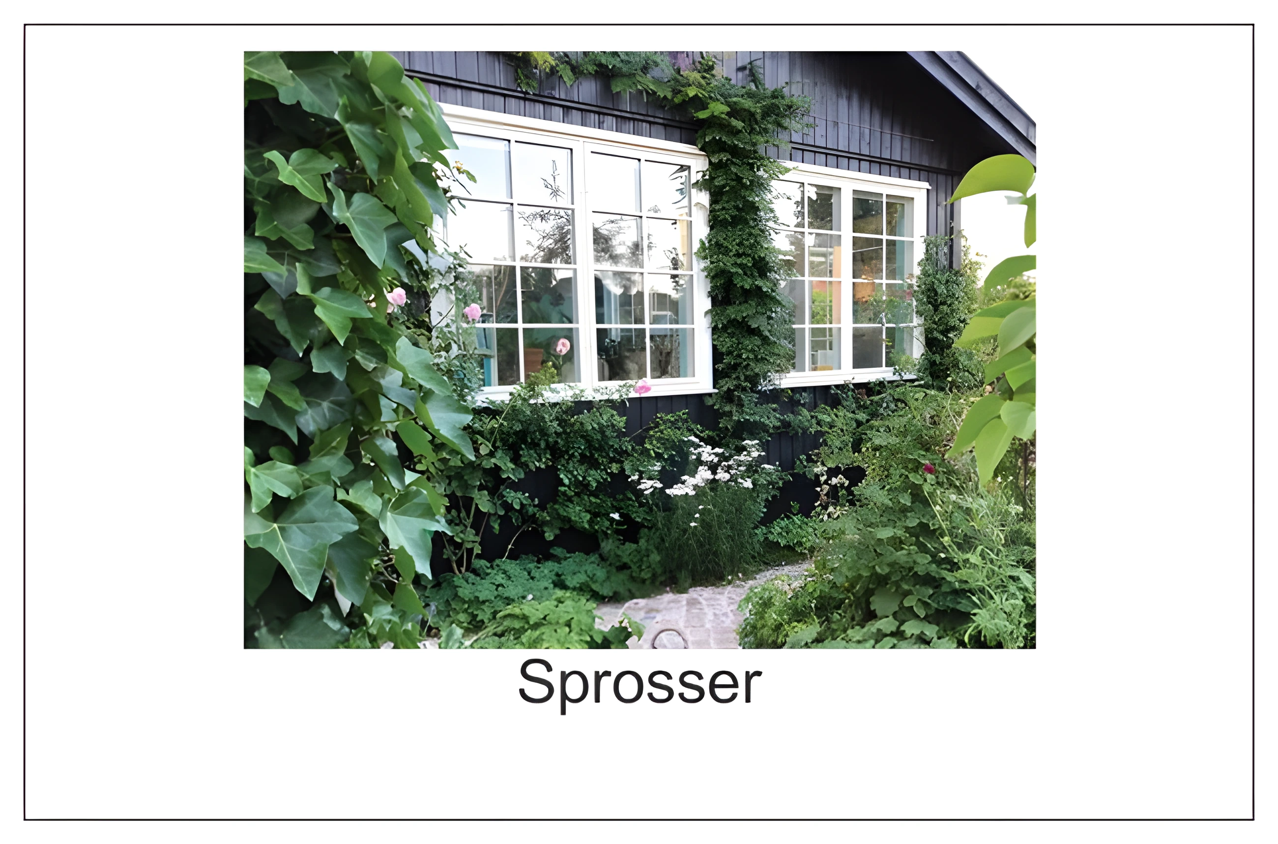 Produkt beskrivelse